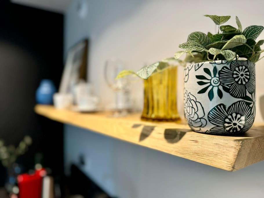 Art & High Studio Z Parkingiem Podziemnym Krynica-Zdrój Zewnętrze zdjęcie