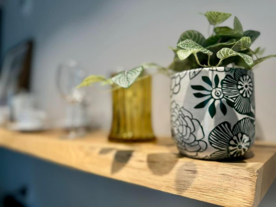 Art & High Studio Z Parkingiem Podziemnym Krynica-Zdrój Zewnętrze zdjęcie