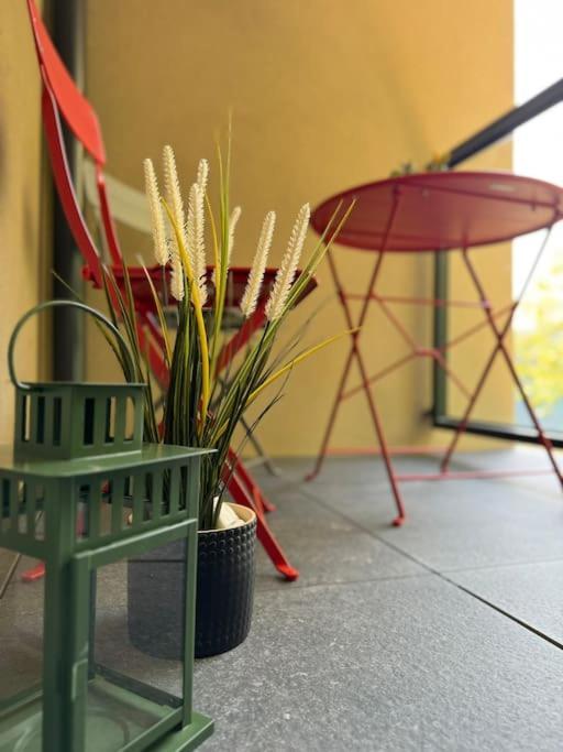 Art & High Studio Z Parkingiem Podziemnym Krynica-Zdrój Zewnętrze zdjęcie